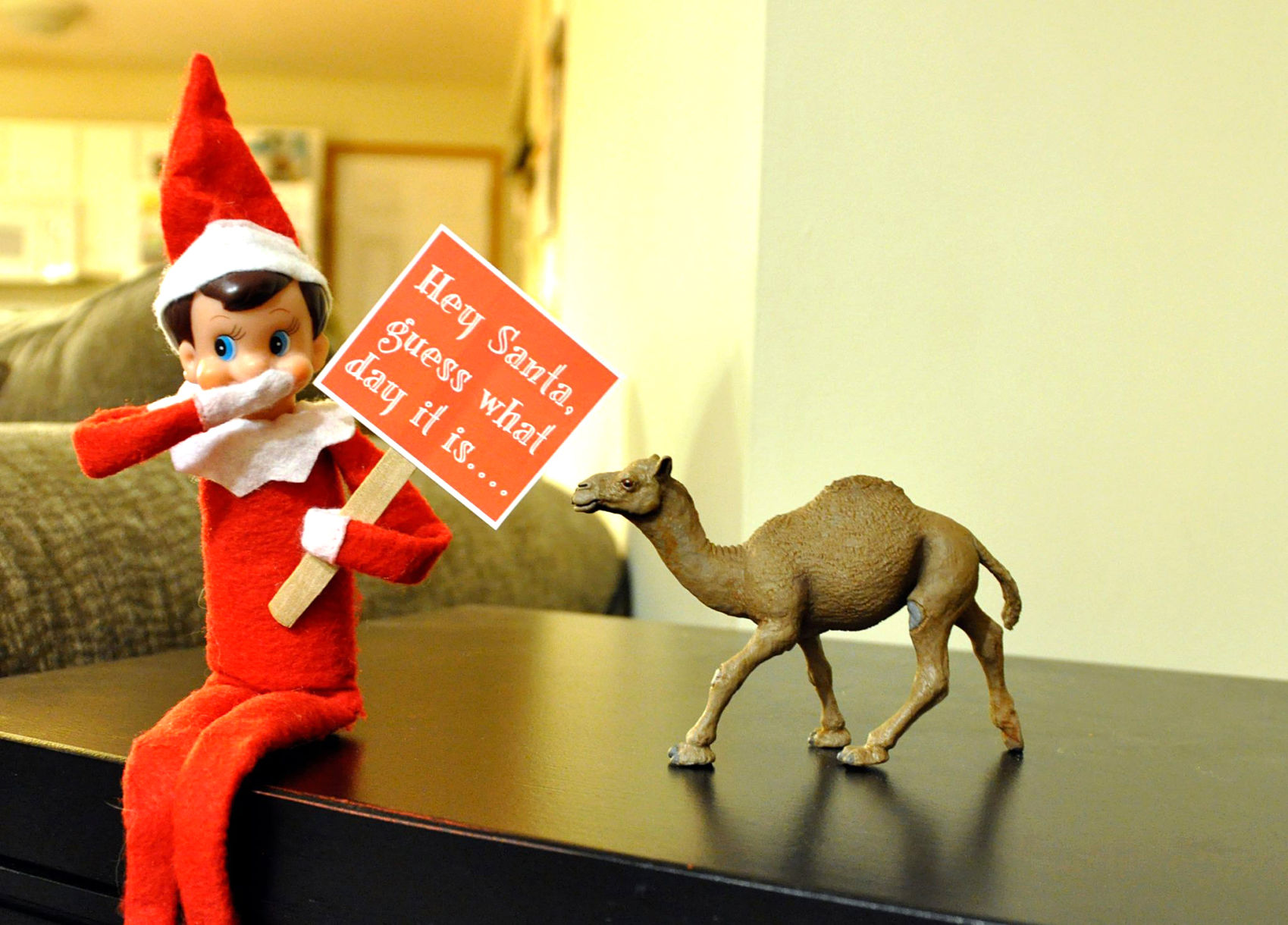 "Elf on the Shelf"